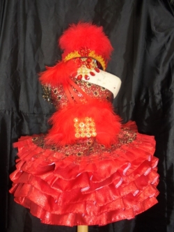 ชุดดรัมเมเยอร์สีแดง ราคานี้ มีชุด หมวก สร้อย ต่างหู รอบอกตั้งแต่20-30นิ้ว สูงไม่เกิน 130 เซนติเมตร