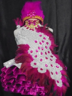 ชุดดรัมเมเยอร์นกยูงสีบานเย็นสีเงินเด็กอนุบาลและประถม(ราคานี้มี ชุด หมวก สร้อย ต่างหู )