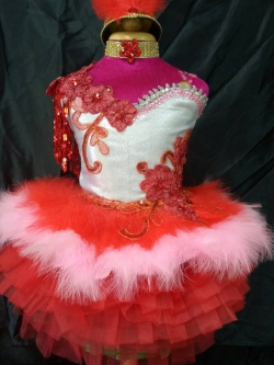 ชุดดรัมเมเยอร์เด็กอนุบาลสีแดง และประถม ทุกขนาดไซส์ ไม่เกิน ประถม 2 ราคานี้เป็นราคาชุดอย่างเดียว ไม่มีเครื่องประดับ