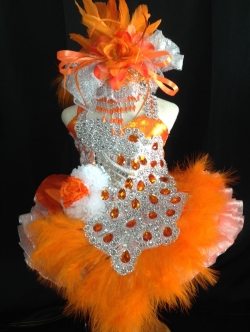 ชุดนกยูงสีส้มเด็กอนุบาลและประถมชุดดรัมเมเยอร์เด็กอนุบาลนกยูง