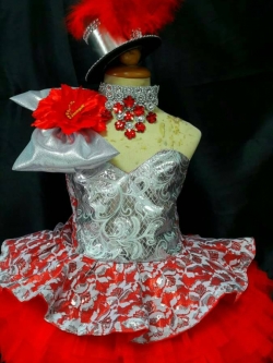 ชุดดรัมเมเยอร์สีแดง ราคานี้ มีชุด หมวก สร้อย ต่างหู รอบอกตั้งแต่20-30นิ้ว สูงไม่เกิน 130เซนติเมตร