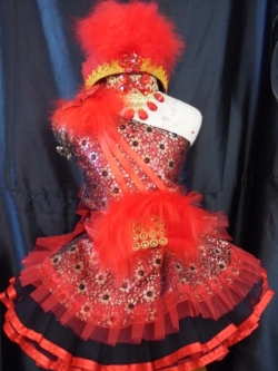 ชุดดรัมเมเยอร์สีแดง ราคานี้ มีชุด หมวก สร้อย ต่างหู รอบอกตั้งแต่20-30นิ้ว สูงไม่เกิน 130 เซนติเมตร