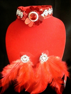 สร้อยเซทสีแดงสลับเงิน+ต่างหูหนีบขนนก*พร้อมส่ง*