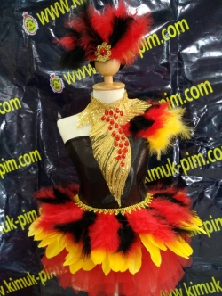 ชุดดรัมเมเยอร์เด็กอนุบาลสีแดง และประถม ราคานี้ไม่มีเครื่องประดับ เป็นราคาชุดอย่างเดียว ไม่รวมปีก