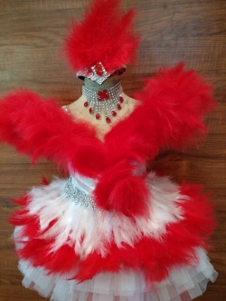 ชุดดรัมเมเยอร์สีแดง ราคานี้ มี ชุด หมวก สร้อย ต่างหู รอบอกตั้งแต่20-30นิ้ว เอวไม่เกิน28นิ้ว สูงไ่ม่เกิน140เซนติเมตร