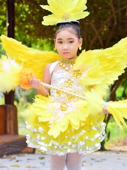 ชุดสีเหลือง ขนนกพร้อมปีก สร้อย ตางหู หมวก ไม้ดรัมเมเยอร์* รวมจัดส่ง*
