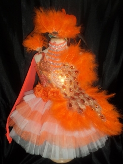 ชุดดรัมเมเยอร์นกยูงเด็กอนุบาลและประถม (แถม หมวก สร้อย ต่างหู)ไม่รวมไม้ดรัมค่ะ