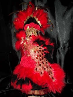 ชุดดรัมเมเยอร์นกยูงเด็กอนุบาลและประถม (แถม หมวก สร้อย ต่างหู)