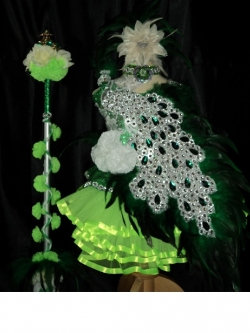 ชุดดรัมเมเยอร์นกยูงเด็กอนุบาลและประถม (แถม หมวก สร้อย ต่างหู)