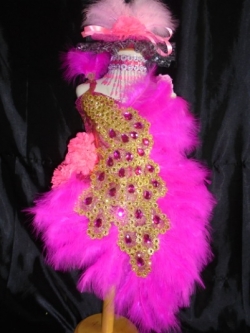 ชุดดรัมเมเยอร์นกยูงเด็กอนุบาลและประถม (แถม หมวก สร้อย ต่างหู)