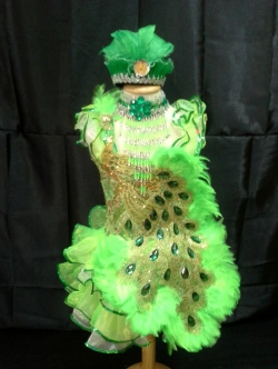 ชุดดรัมเมเยอร์นกยูงเด็กอนุบาลและประถม (แถม หมวก สร้อย ต่างหู)