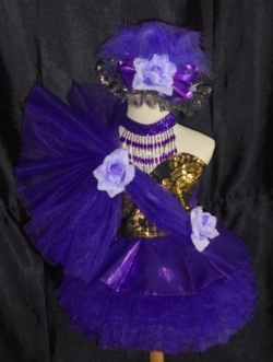 ชุดดรัมเมเยอร์สีม่วงเด็กราคานี้มี ชุด หมวก สร้อย ต่างหู รอบอกตั้งแต่20-30นิ้ว เอวไม่เกิน28นิ้ว สูงไม่เกิน140เซนติเมตร