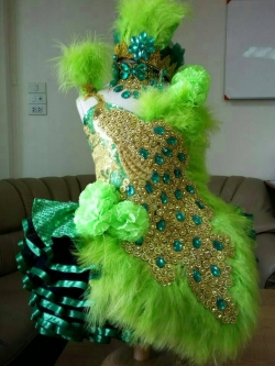 ชุดดรัมเมเยอร์นกยูงสีเขียวราคานี้ มีชุด หมวก สร้อย ต่างหู(รอบอกตั้งแต่20-30นิ้ว สูงไม่เกิน130เซนติเมตร