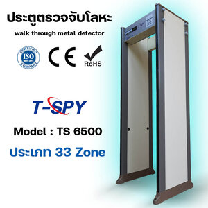 ประตูตรวจจับโลหะแบบ 33 โซน รุ่น TS-6500 (33 zone Walk through metal detector TS-6500)