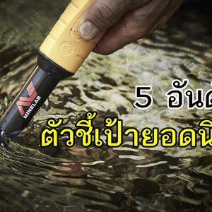 จัดอันดับ ตัวชี้เป้ายอดนิยม จากข้อมูลของร้านไทยสปาย