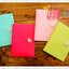 Pony Passport case ปกใส่หนังสือเดินทาง