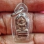 พระนาคปรกใบมะขาม วัดพนัญเชิง จ.อยุธยา ปี 2538 เลี่ยมกรอบกันน้ำ พร้อมรูปหลวงพ่อโต