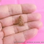 หลวงปู่ทวดเนื้อว่านสบู่เลือด พิมพ์พระรอดเล็ก วัดห้วยมงคล