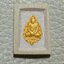 พระคำข้าว,พระมหาลาภ หลวงพ่อฤาษีลิงดำ วัดท่าซุง พิมพ์กรรมการทาทอง ผิวมีคราแป้งเดิมๆ รหัส566