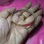 กำไลพันล้าน กำไลเนือทองเหลืองฝาบาตร หลวงพ่อสด รุ่นโคตรเศรษฐี ปี2551