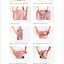 Folding Carry Bag กระเป๋าเดินทางพับได้