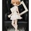 [PRE-ORDER] MSD/MDD A Dandelion's Promise