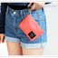 Iconic Charger Pouch