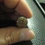 หินทิเบต 3 ตา (3 Eyed dZi Bead) หินเก่าแท้ๆแตกลายงา
