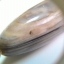 กำไลลูกปัดเโบราณ สร้อยข้อมือลูกปัดโบราณ ร้อยกับหินเกล็ดมังกร(Impress.stone) ยาว 9.3 นิ้ว งาน hand made ไม่เหมือนใคร เก๋ เท่ สวย ไม่เหมื่อนใครมีเส้นเดียวในโลก มีพลังศักสิทธิ์