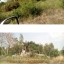 ขาย-ที่ดินเปล่า จำนวน1000ไร่ รีสอร์ทภูฟ้าใส อำเภอวังม่วง จังหวัดสระบุรี
