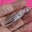 เหรียญหลวงปู่ทวด หลังพระพุทธเจ้าเปิดโลก วัดถ้ำเมืองนะ ปี 2556 เนื้อทองแดงรมดำ มีรอยจารจากหลวงตาม้าเมตตาจารให้ เลี่ยมกรอบเดิมจากวัด