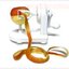 Apple Peeler เครื่องปอกเปลือกแอปเปิ้ล