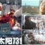 จับคนมาทำเชื้อโรค Men behind the Sun (1988)