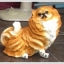 ตุ๊กตาสุนัขปูนปั้น พันธุ์ปอมเมอเรเนียน (Pomeranian) SizeL