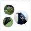 Travelus GoGo Bag for walking