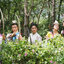 แม่ทัพจิ้งบุงกง 4 แผ่น หลีหมิง,หลอฮุ่ยเจี้ยน,โอวหยางเจิ้นหัว