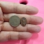 เหรียญเม็ดแตงพระสยามเทวาธิราชทรงพาหนะช้าง ปี2525 จิตต์พรหมญาณจัดสร้างโดยเทวสถานโบสถ์พราหมณ์