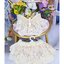 [PRE-ORDER] SD13G Dream Angel